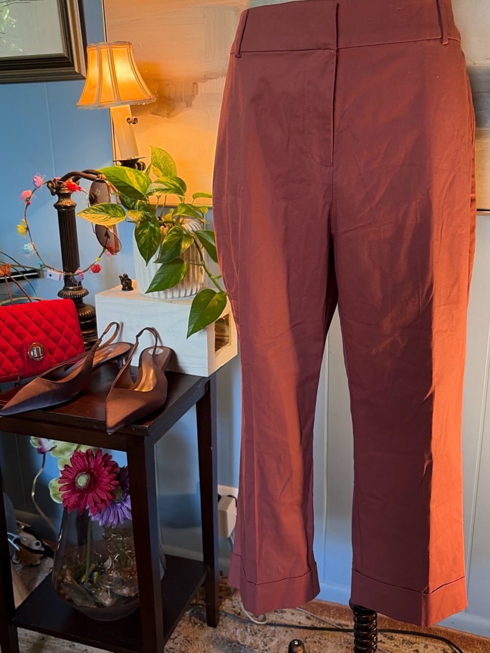 Ann Taylor Factory Women's Capris in Brick Red